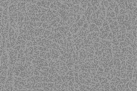 Texture of a cracked melon crust for a background in gray tones Stock Photos