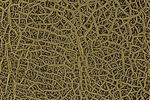 Texture of a cracked melon crust for a background 库存照片