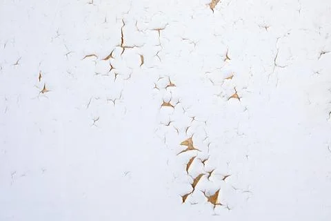 Texture of cracked paint. Stock Photos