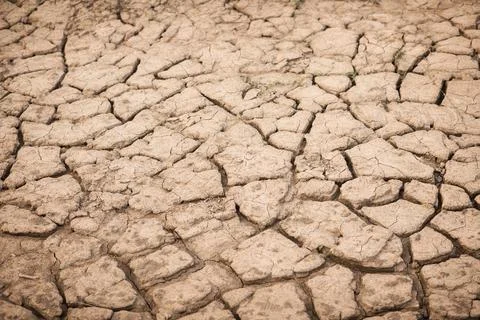 Texture of Cracked soil Stock Photos