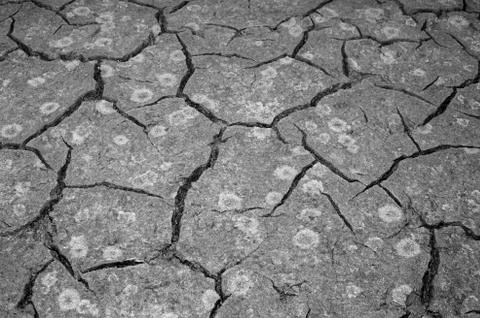 The texture of the cracking of the earth. The concept of using natural resour Stock Photos