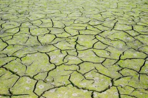 The texture of the cracking of the earth. The concept of using natural resources Stock Photos