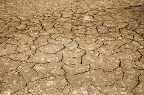 The texture of the cracking of the earth. Toned image. Stock Photos