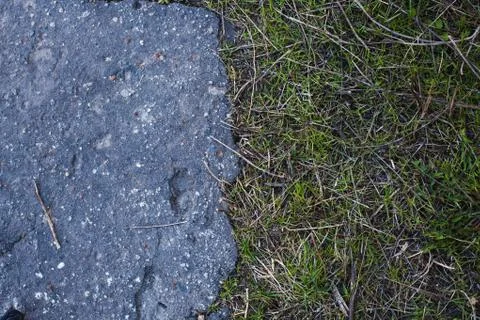 Texture of Cracks on asphalt background 스톡 사진