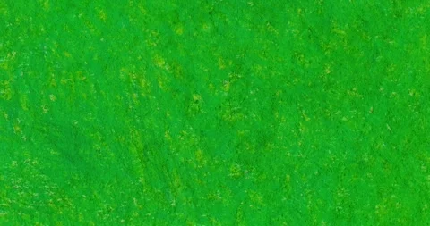 Texture crayon paint crazy cadmium light green oil pastel pencil Stock Footage 316758322