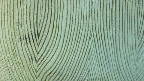 Texture of a cross-section of a pine tree close-up Video stock 90144806