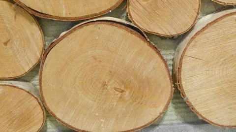 Texture of cross section of the timber on the wall for the background Stock Photos