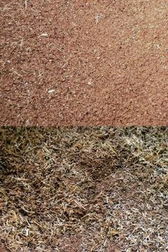 Texture of crushed oak bark Foto stock