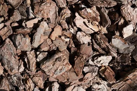 The texture of crushed tree bark on a close-up background. Crushed brown tree Stock-Fotos