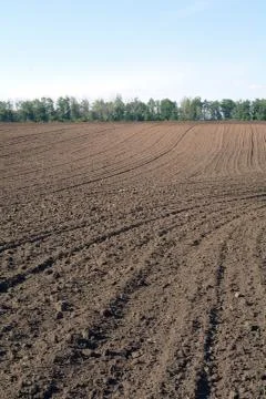 Texture of cultivated field Stock Photos