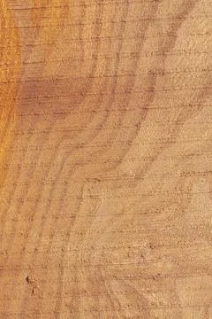 Texture of cut old tree stump with annual rings and cracks. Wooden texture Stock Photos