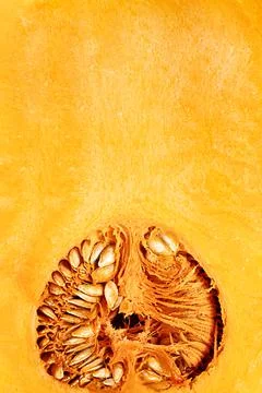 The texture of the cut pumpkin with seeds with a copy of space. Stock Photos