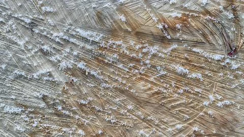 Texture of a cut tree, snowflakes on a cut, winter Foto stock