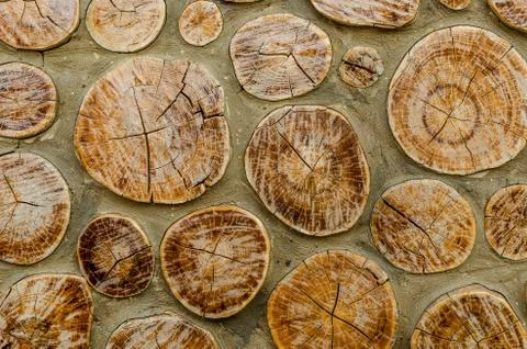 Texture of cut tree trunks, Natural Background Stock Photos