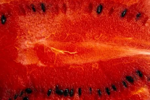 Texture of the cut of a watermelon 스톡 사진