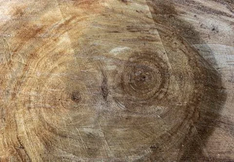 The texture of the cut wood, the texture of the tree ring close up Stock Photos