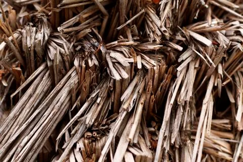 The texture of damaged thatch was shot close-up Stock Photos