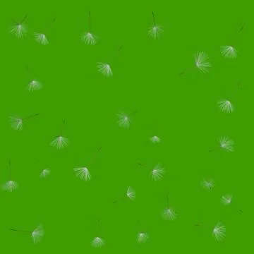 Texture from dandelion seeds Stock Illustration