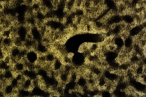 The texture of dark brown spots on a light golden background Stock Photos