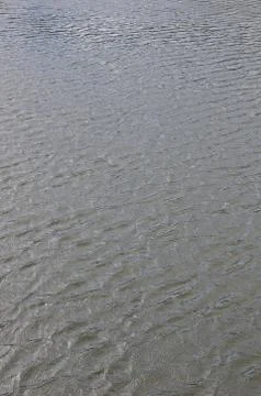 The texture of dark river water under the influence of wind, imprinted in per Stock Photos