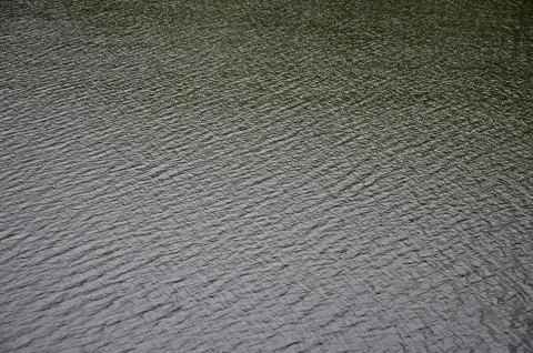 The texture of dark river water under the influence of wind, imprinted in per Stock Photos