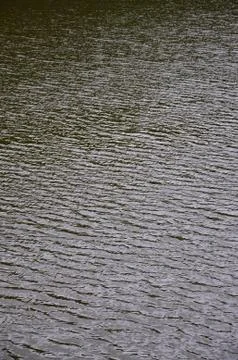 The texture of dark river water under the influence of wind, imprinted in per Stock Photos