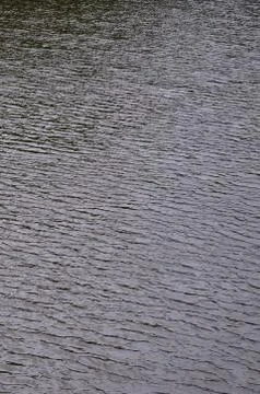 The texture of dark river water under the influence of wind, imprinted in per Stock Photos