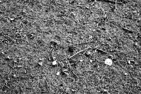 Texture dark surface Stock Photos