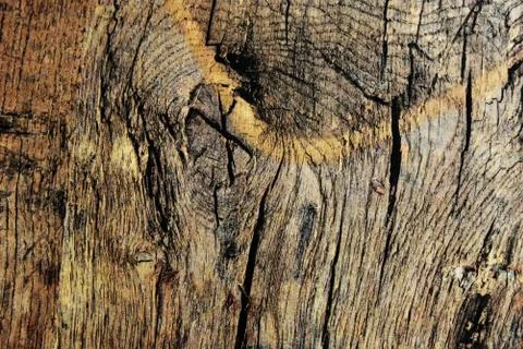 Texture for decoration Stockfoto's