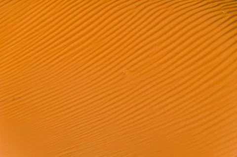 Texture of desert sand Fotos de archivo