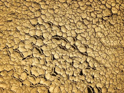 Texture of dried brown soil or ground 스톡 사진