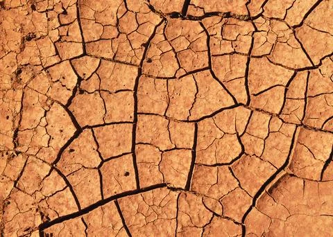 Texture of the dried earth with red clay and sand. Hiking through Fuerteventura Stock Photos