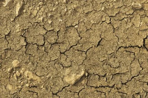 The texture of the dried ground. Stock Photos