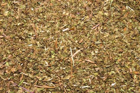 Texture of dried mint. Stock Photos