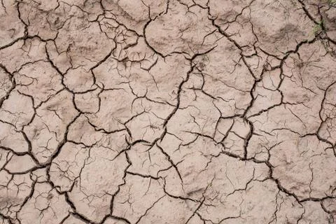 Texture of dried mud. dried field Stock Photos
