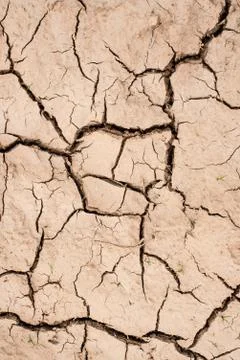 Texture of dried mud. dried field Stock Photos