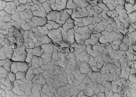 Texture drought parched earth Stock Photos