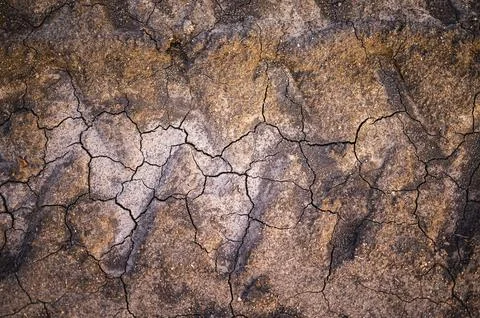 Texture of dry broken ground with tractor tracks Stock Photos