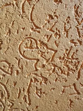 The texture of dry brown plaster. Stock Photos