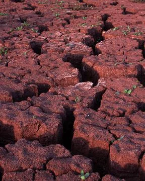 Texture of dry cracked mud Stock Photos