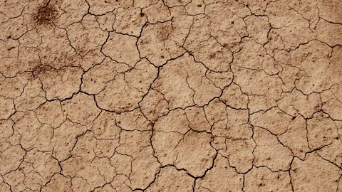 Texture dry cracked soil. Selective focus. Stock Footage 288848505
