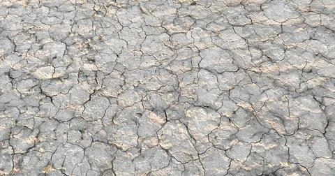 The texture of a dry cracked surface of a dried riverbed Foto stock