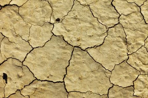 Texture dry dirt close up Stock Photos