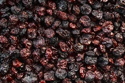 Texture of dry grape closeup Stock Photos