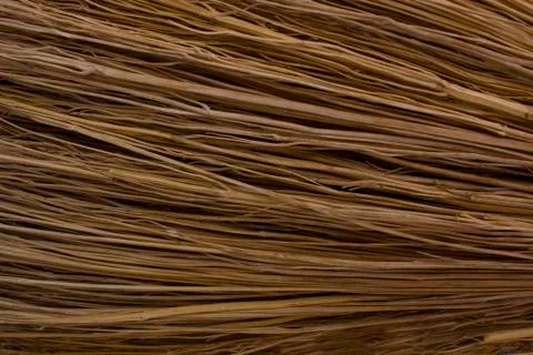 The texture of dry grass 库存照片