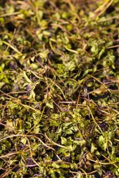Texture of dry green tea thyme Stock Photos