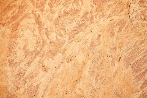 Texture of a dry ground Stock Photos