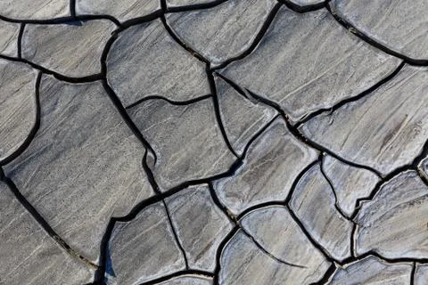 Texture on dry land Stock Photos