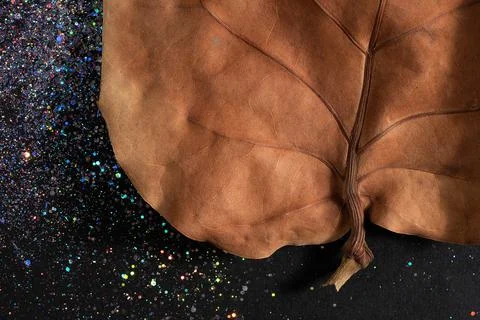 The texture of a dry leaf. Foto stock