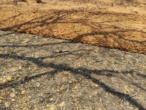 The texture of dry muddy soil is light brown in color Stock Photos